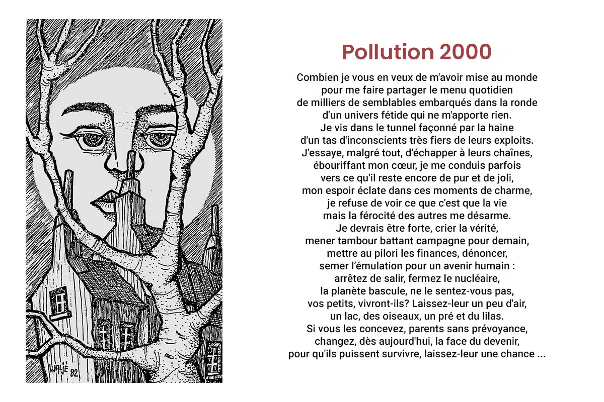 Pollution 2000 diapo