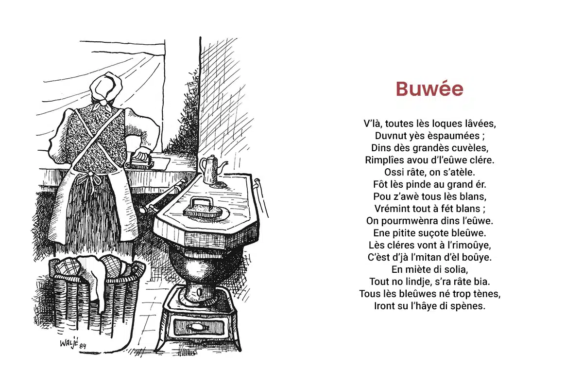 buwee 1