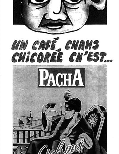 Chicorée Pacha