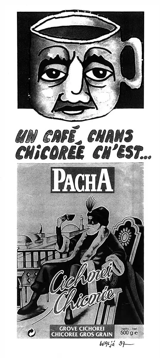 Chicorée Pacha