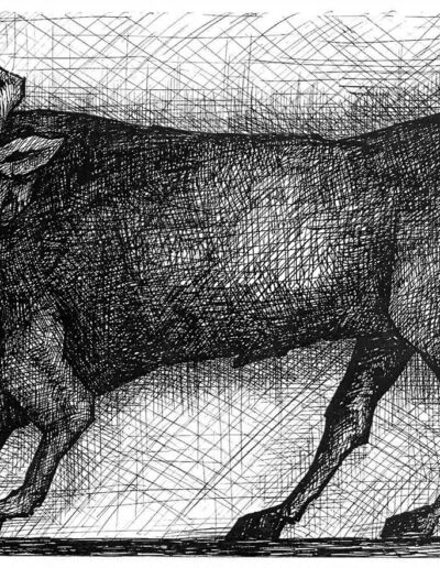 Le taureau