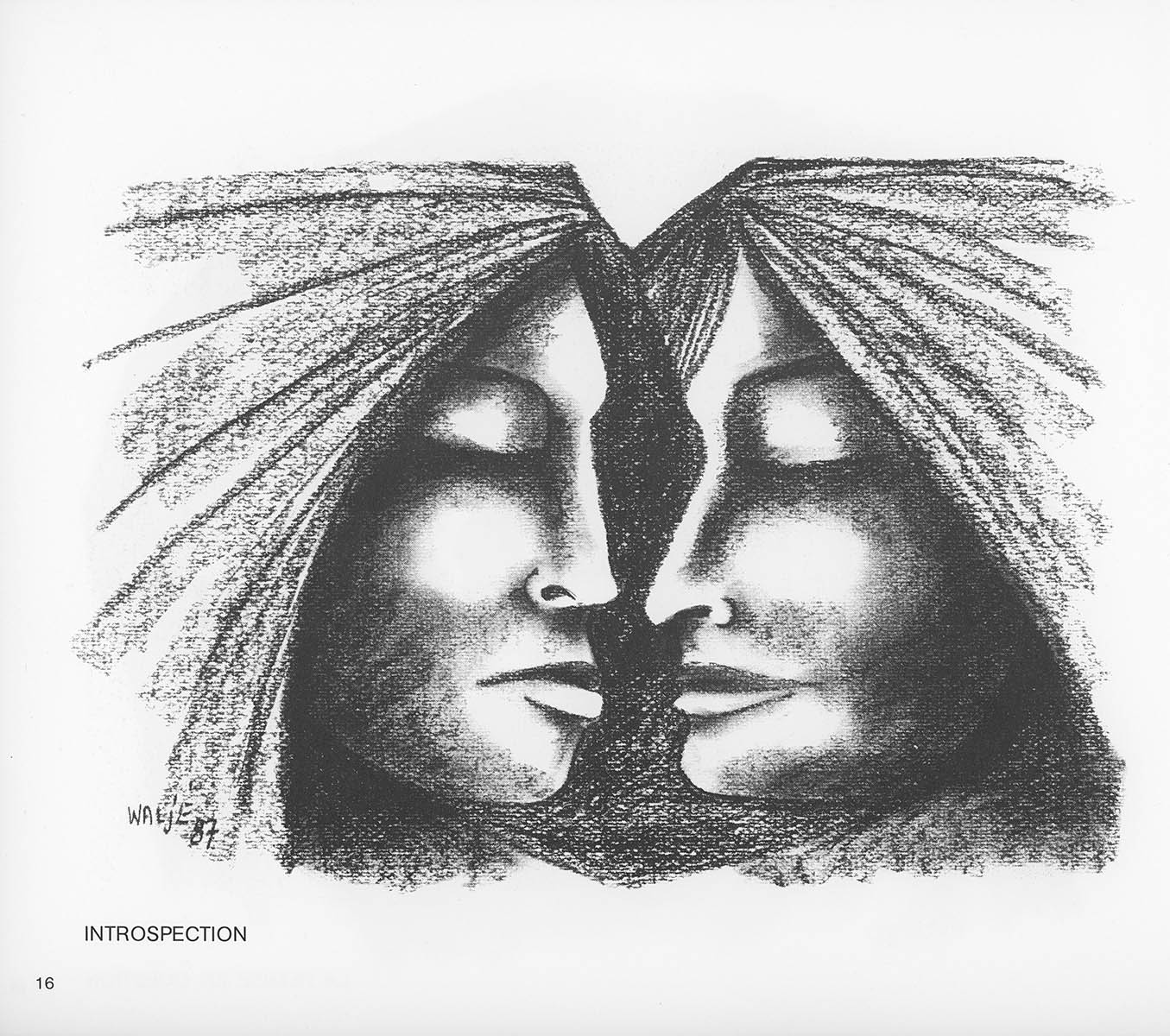 image 16