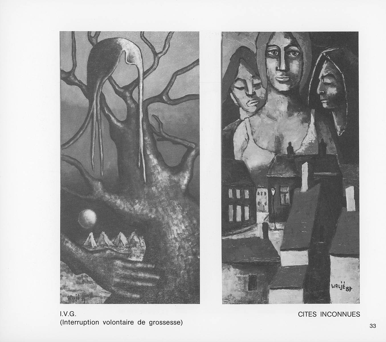 image 33